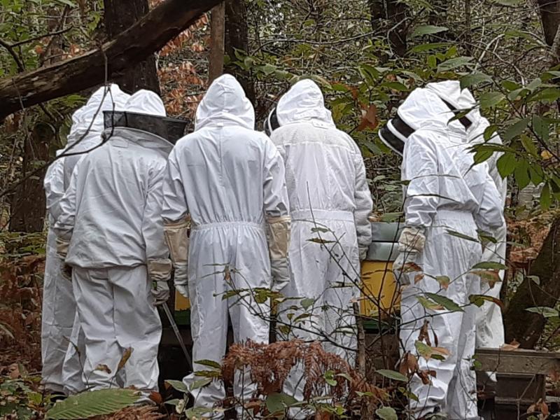 Semaine de la Biodiversité - Portes ouvertes de l'association "l'abeille est dans le pré" à Val-de-Livenne
