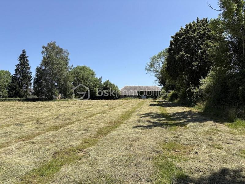 Corps de ferme - 290 m² - 14 pièces