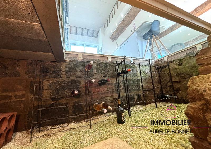 Maison ancienne - 380 m² - 12 pièces