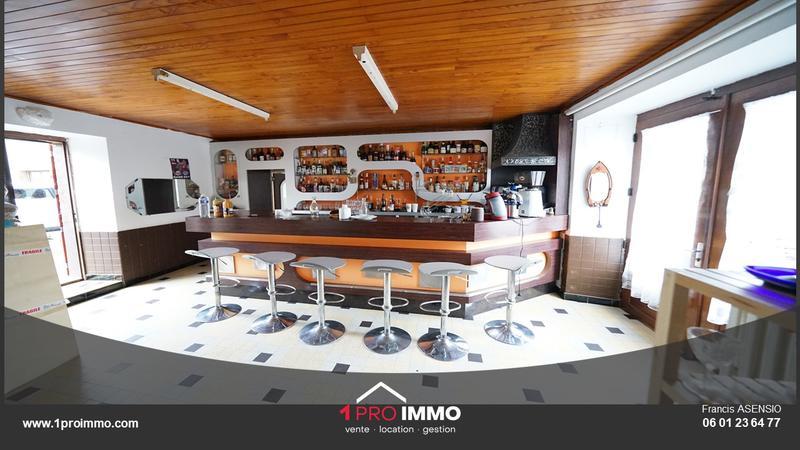 Maison - 252 m² - 9 pièces