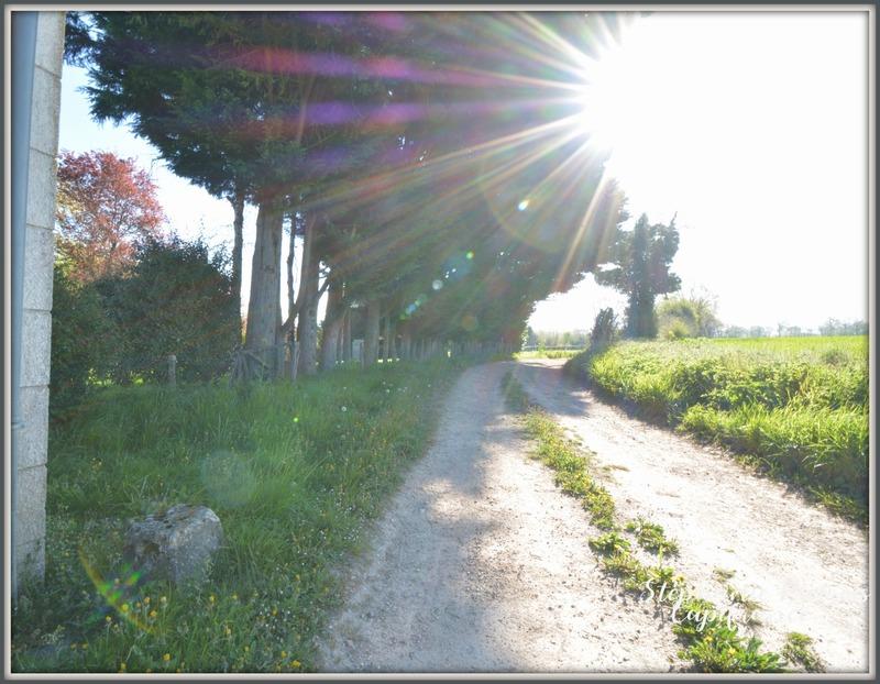 Longère - 140 m² - 5 pièces