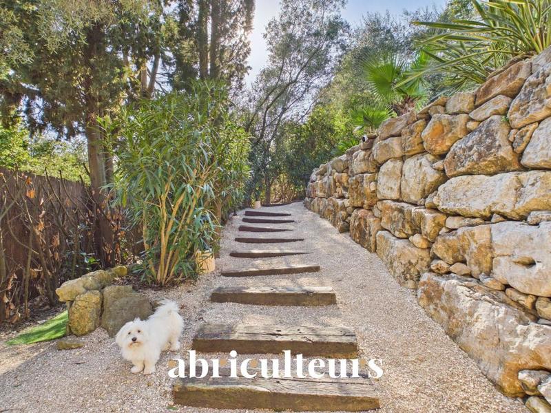 Maison ancienne - 313 m² - 6 pièces