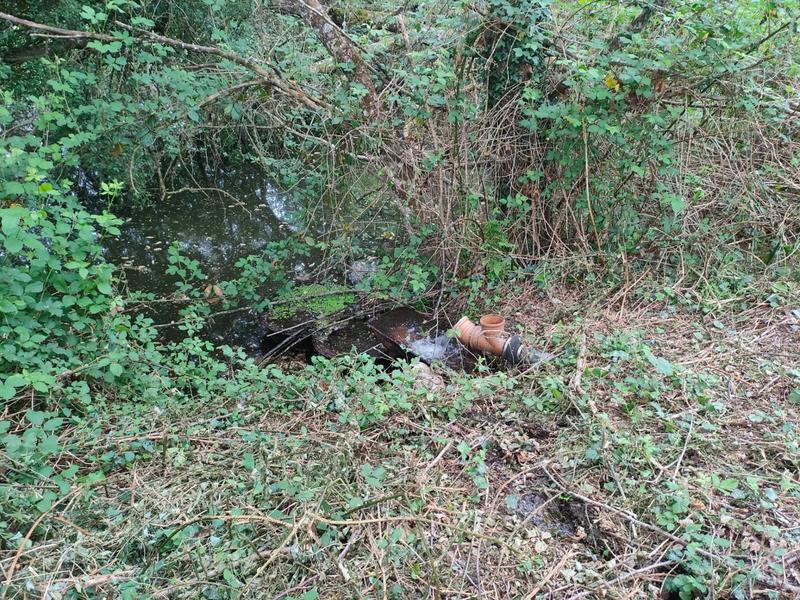 Terrain - 14 125 m²