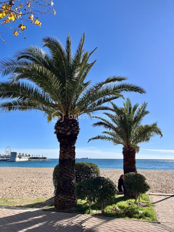 Appartement - 40 m² - 2 pièces