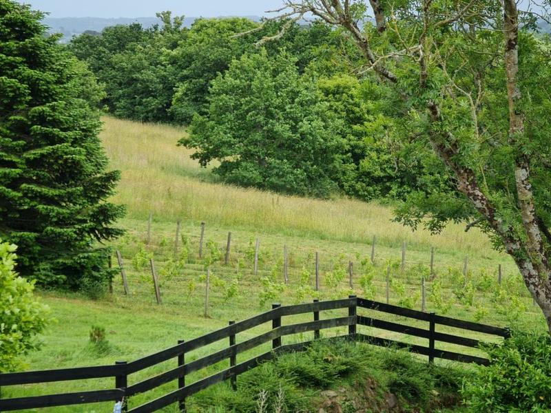 Propriété - 300 m² - 8 pièces