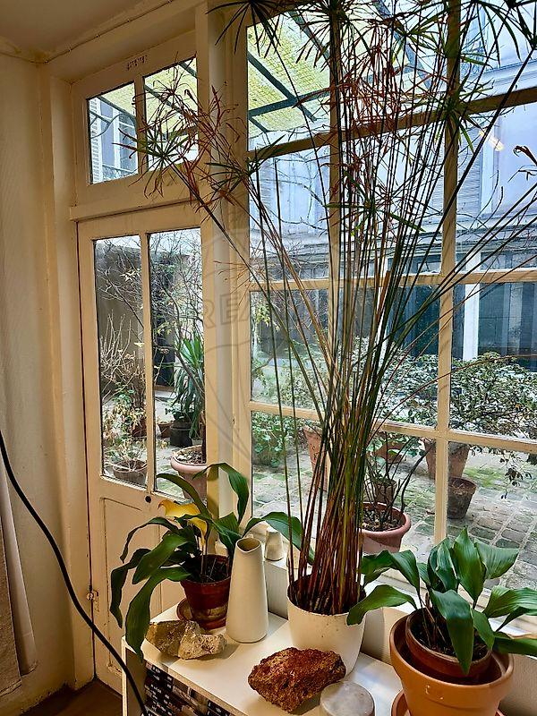 Local commercial - 53 m² - 2 pièces