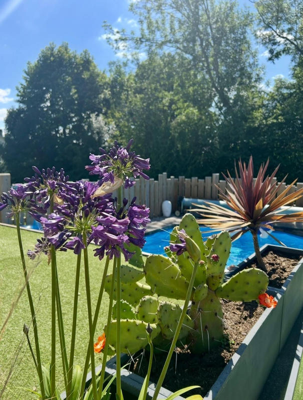 Maison - 300 m² - 6 pièces