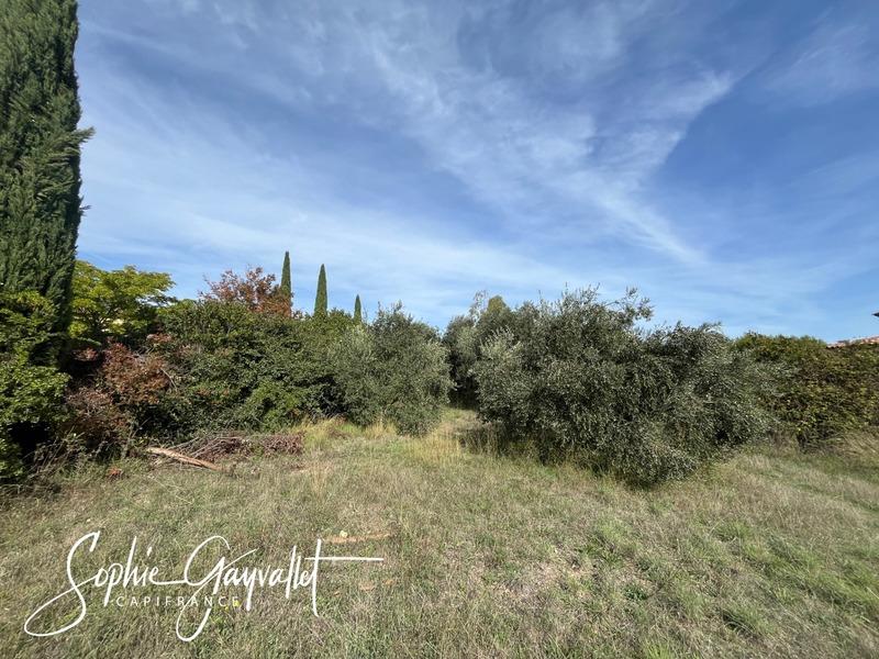 Terrain constructible - 3 000 m²