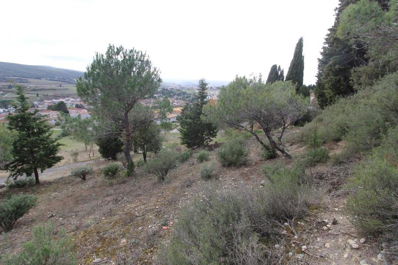 Terrain constructible - 1 515 m²