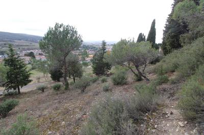 Terrain constructible - 1 515 m²