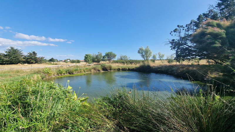 Maison - 245 m² - 8 pièces