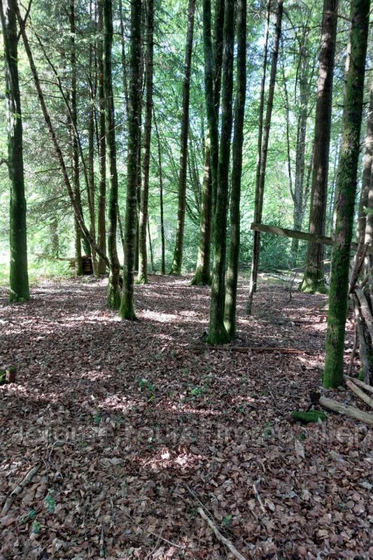 Terrain constructible - 2 229 m²