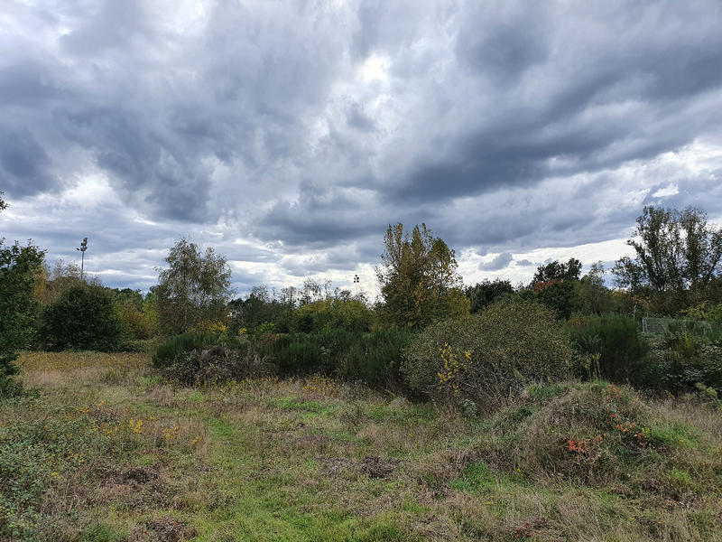 Terrain constructible - 3 352 m²