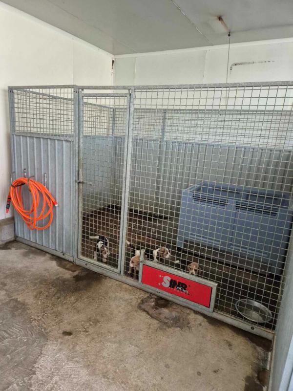 Maison - 250 m² - 6 pièces