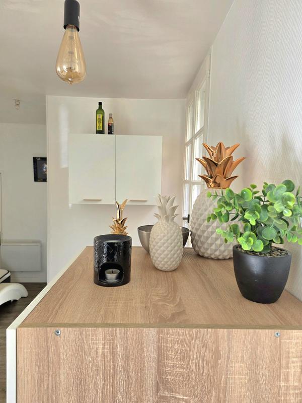 Appartement - 26 m² - 1 pièce