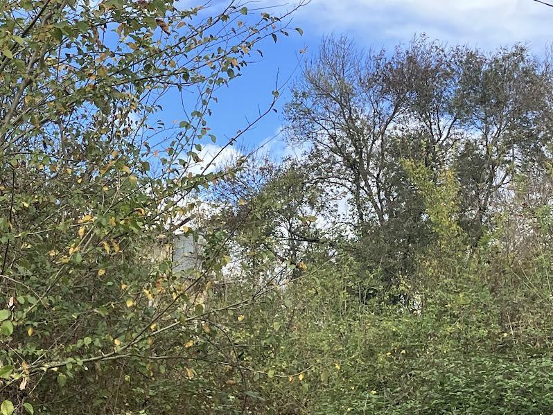 Terrain agricole - 129 819 m²