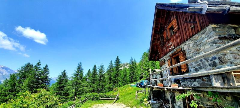 Reconnexion végétale