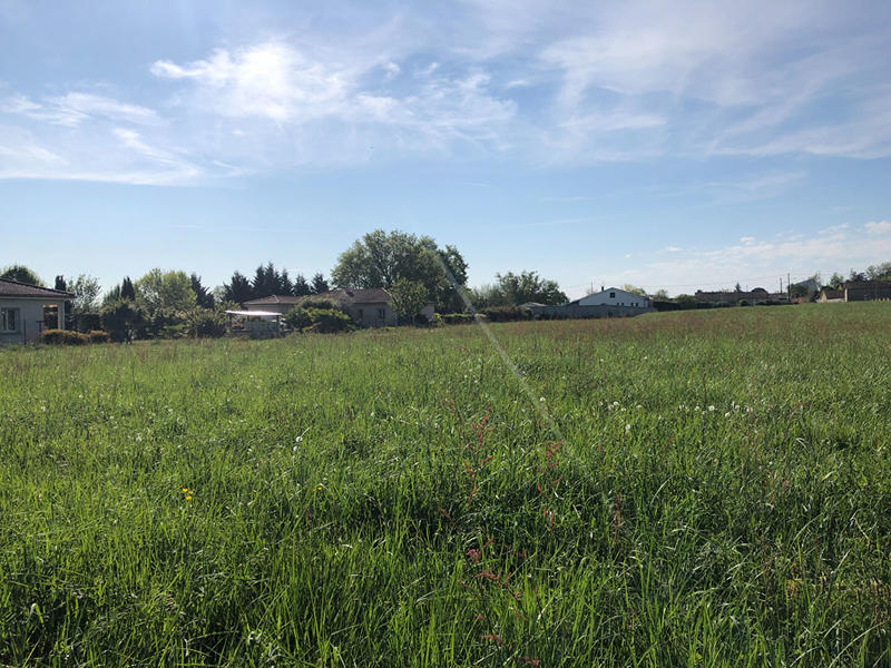 Terrain - 1 255 m²