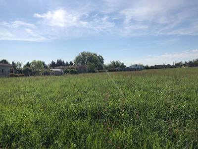 Terrain - 1 255 m²