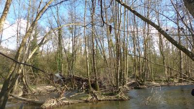 Terrain de loisirs - 2 345 m²