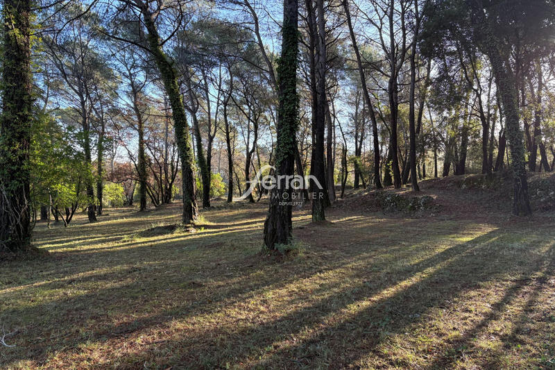 Terrain - 7 100 m²
