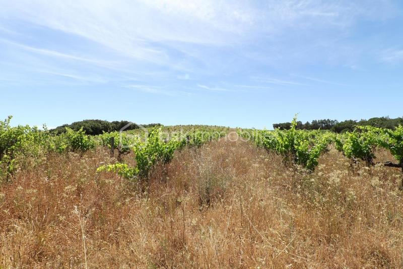 Terrain agricole - 54 432 m²