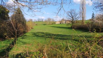 Terrain - 18 368 m²