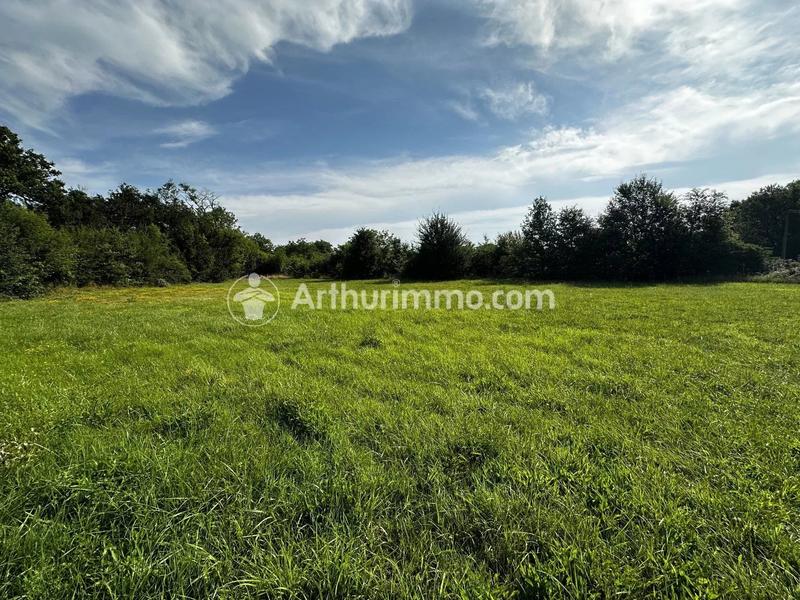 Terrain - 1 256 m²