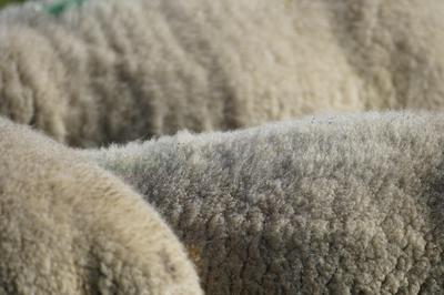 Matinée à la ferme les P'tites Mains pour Demain