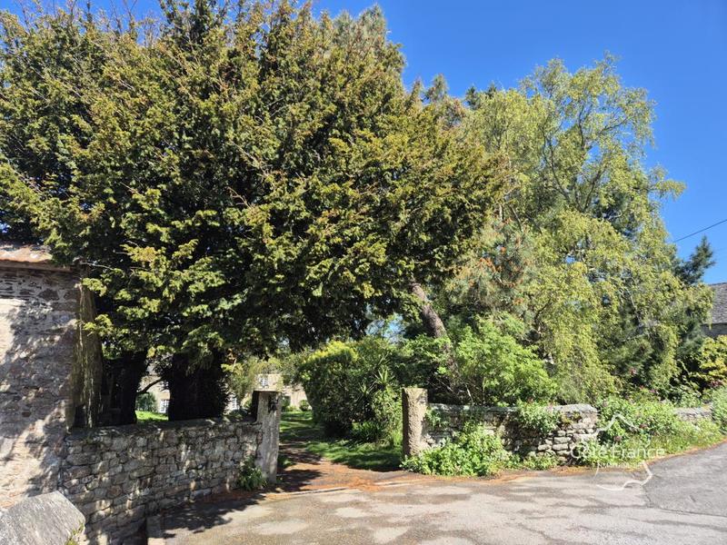 Propriété - 213 m² - 10 pièces