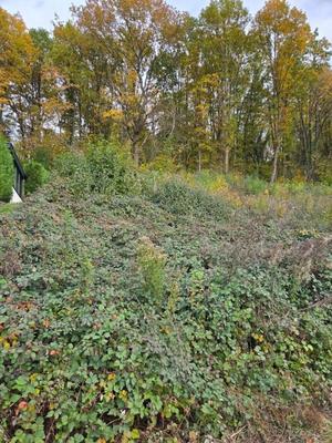 Terrain constructible - 1 861 m²