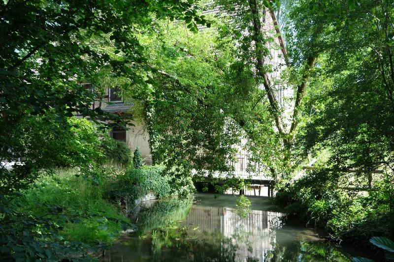 Balade la biodiversité près de chez vous