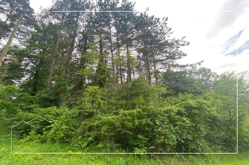 Terrain - 67 687 m²