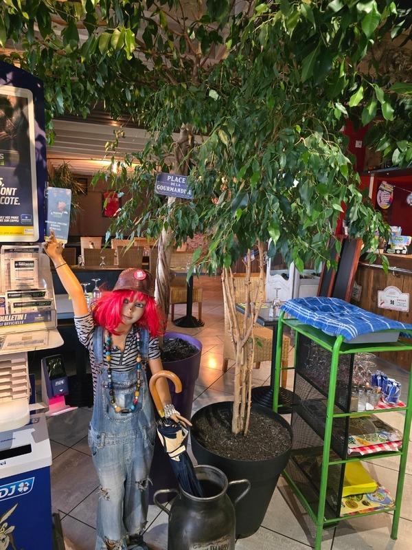 Fonds de commerce - 312 m²