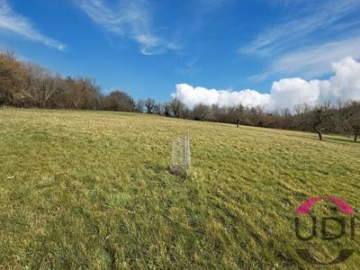 Terrain constructible - 10 080 m²