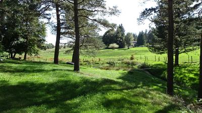 Terrain de loisirs - 3 900 m²