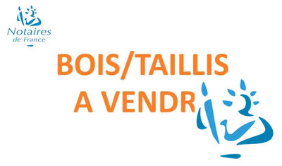 Terrain agricole - 1 115 m²