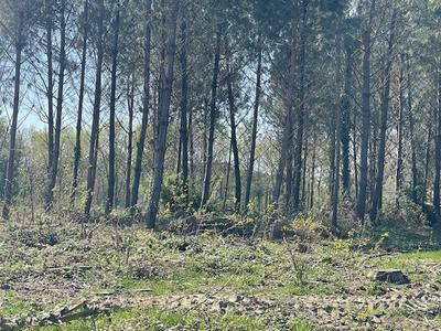 Terrain agricole - 55 394 m²