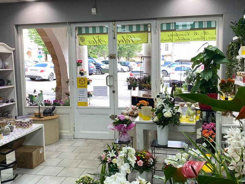 Maison - 532 m² - 9 pièces