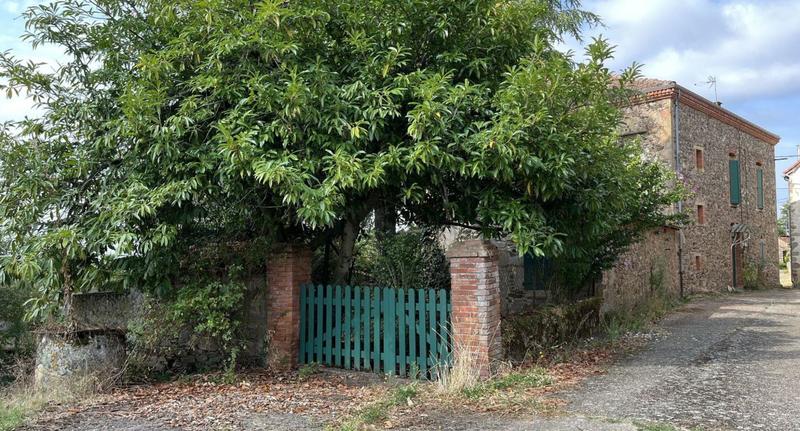 Maison de maîtres - 300 m² - 7 pièces