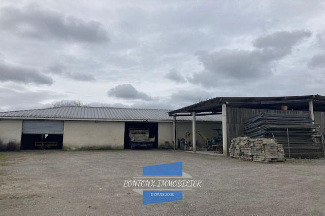 Local commercial - 596 m²