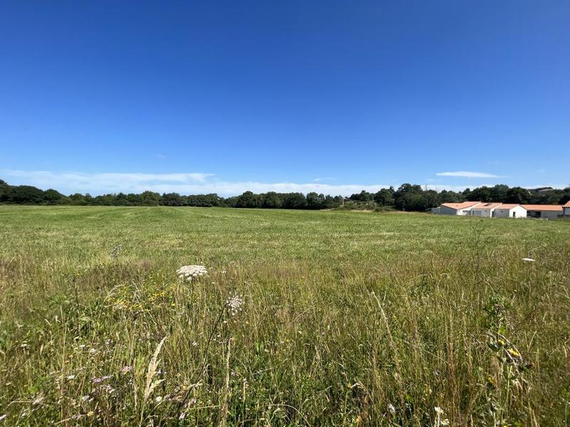 Terrain constructible - 595 m²