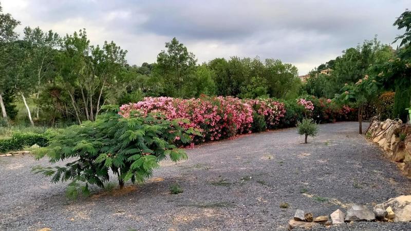 Villa - 284 m² - 6 pièces