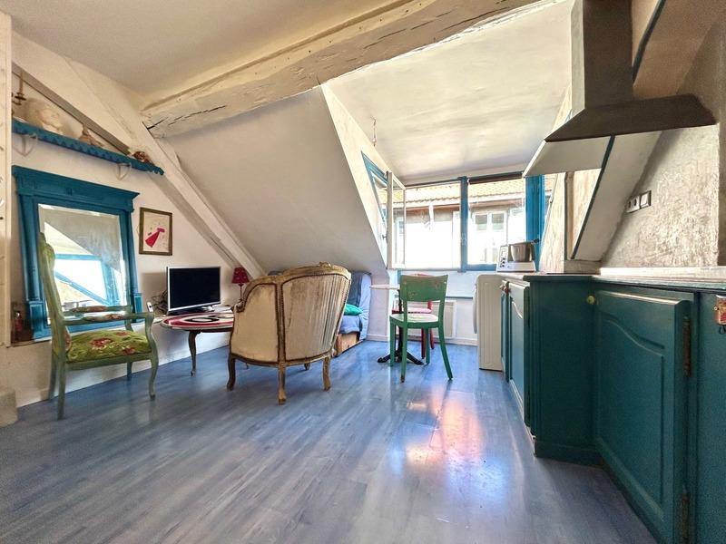 Appartement ancien - 33 m² - 2 pièces
