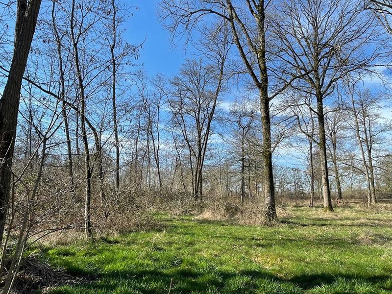 Propriété - 185 m² - 6 pièces