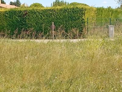 Terrain constructible - 490 m²
