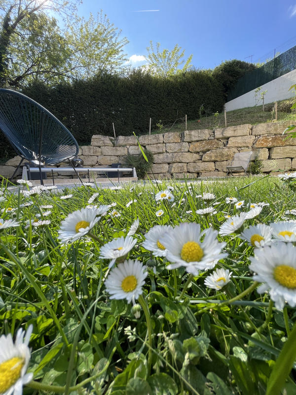 Maison - 220 m² - 6 pièces