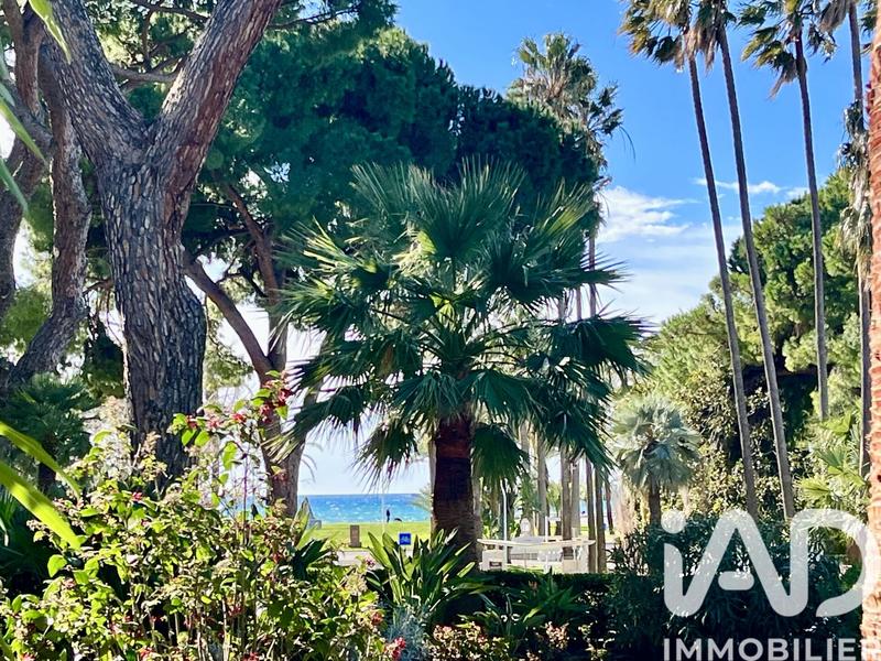 Studio - 38 m² - 1 pièce