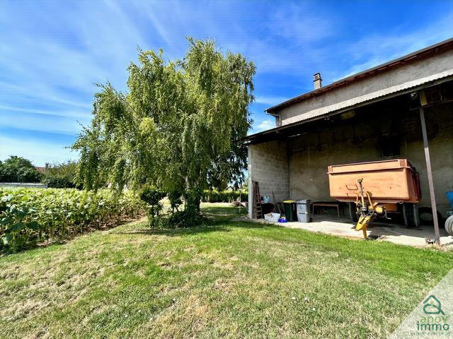 Ferme - 243 m² - 9 pièces