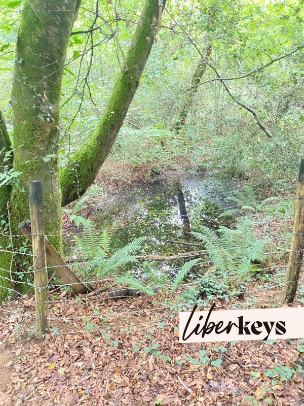 Terrain - 12 800 m²